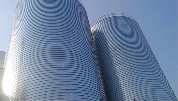 双清2座混凝土高架卷板仓